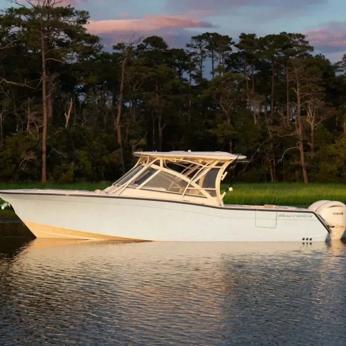 Freedom 307
