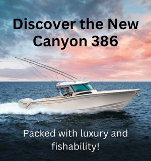 The new Grady White Canyon 386